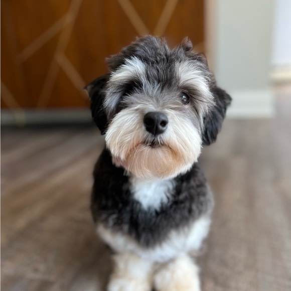 Meet your Posher, Marta - Picture 7 of 8